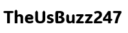 theusbuzz247.com